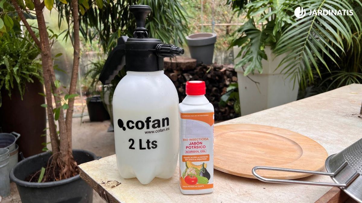 jabon potasico jardinatis 55