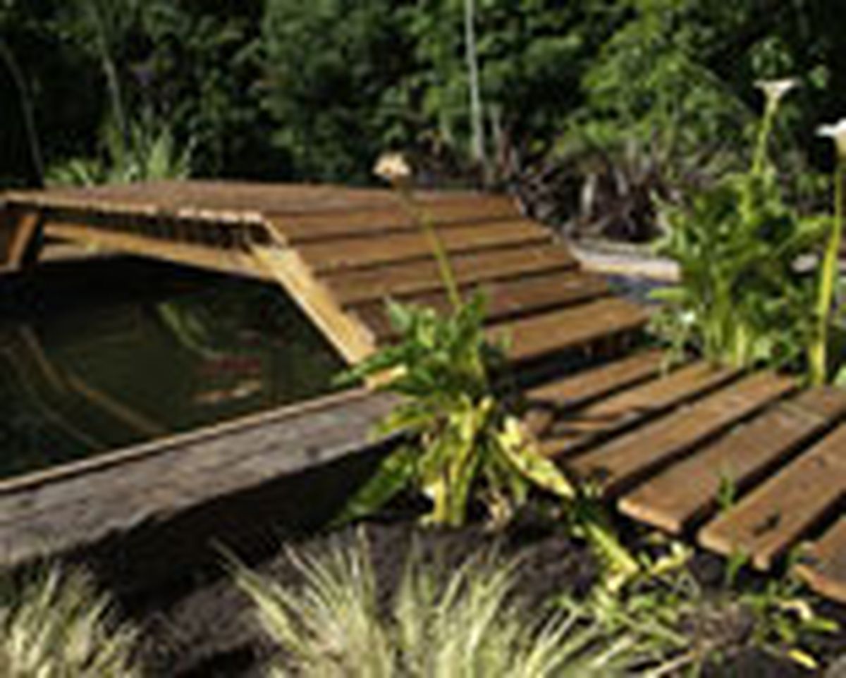 422 puente estanque p14