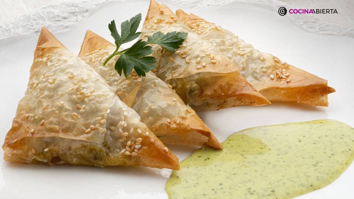 karl7147 samosas india xl