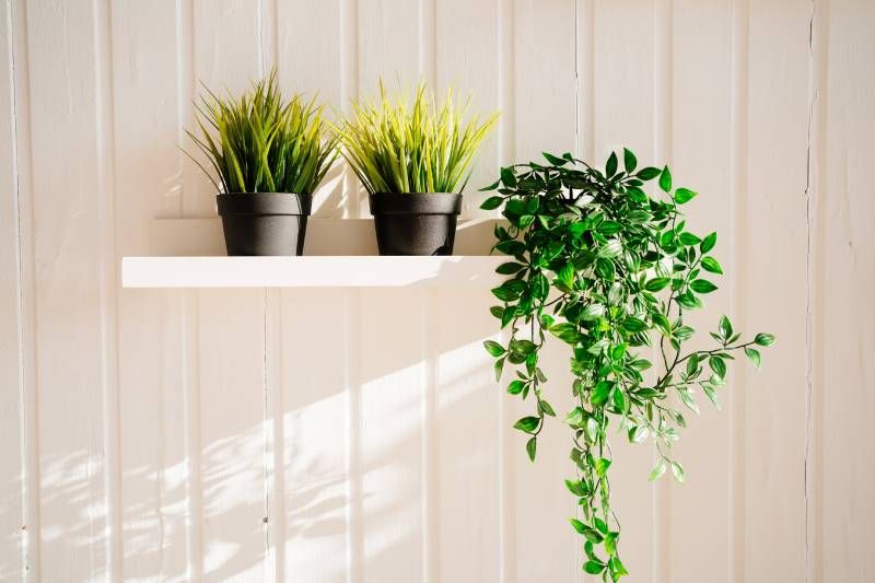 Las plantas artificiales son capaces de reducir hasta en un 90% los niveles de dióxido de carbono.