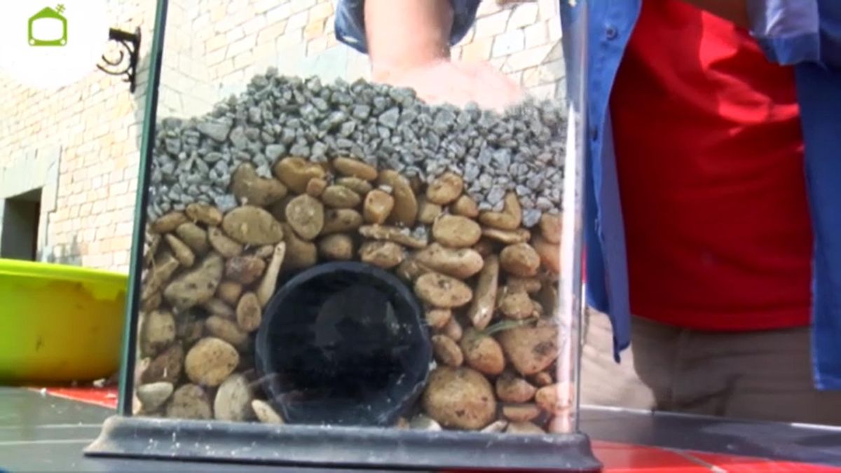 BRICO_JARDIN_789_Instalar drenaje en el jardin completo