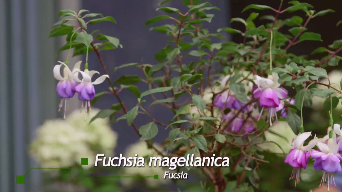 brico 0927 3 jardinera tela pendientes reina