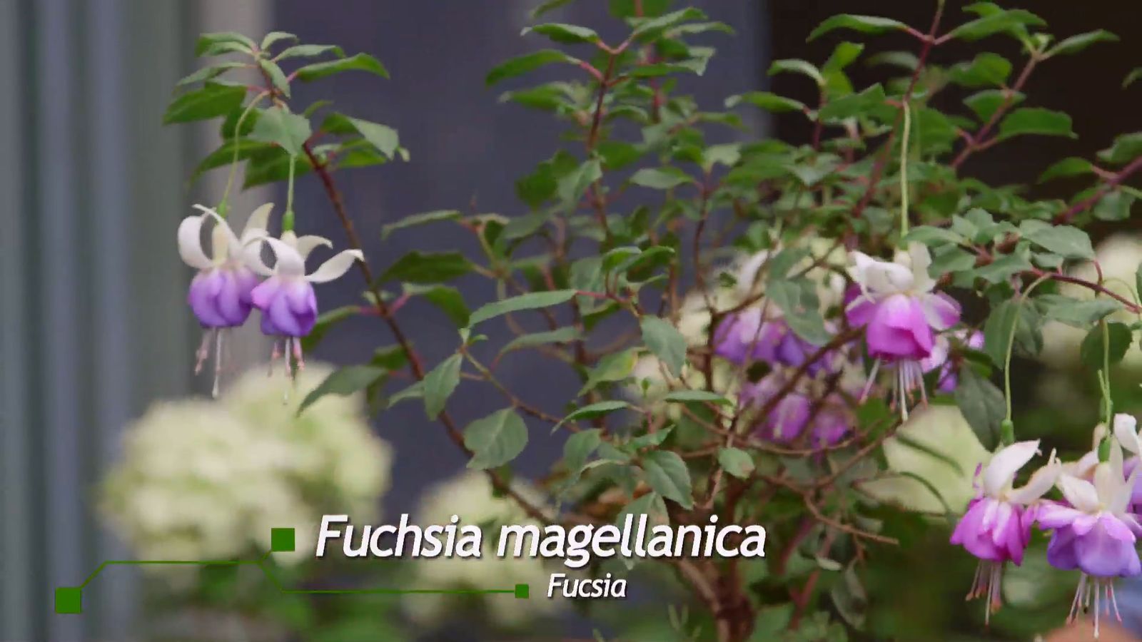 brico 0927 3 jardinera tela pendientes reina