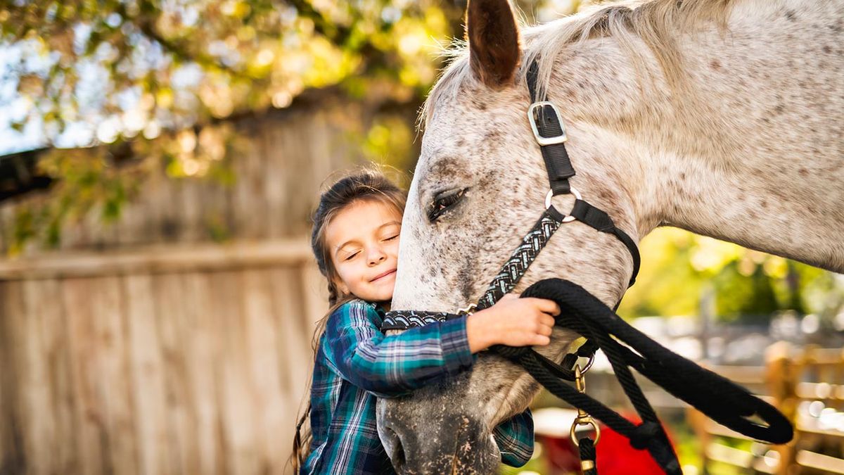 animales adecuados terapia asistida 4