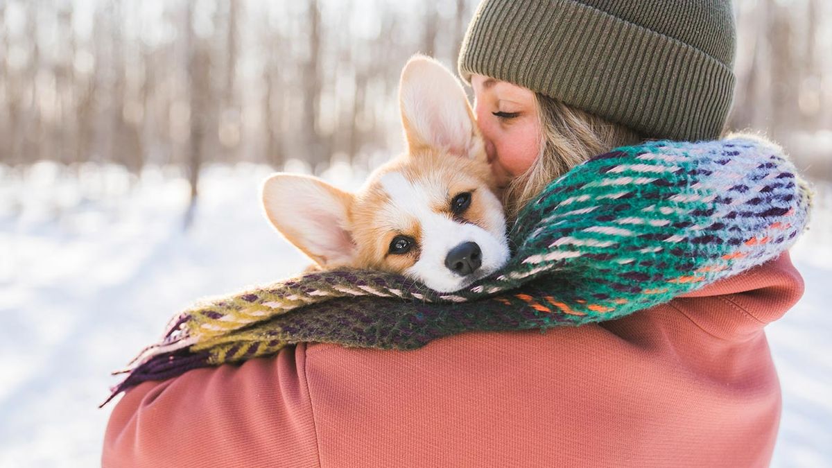 No todos los perros van a tolerar el frío de la misma manera.