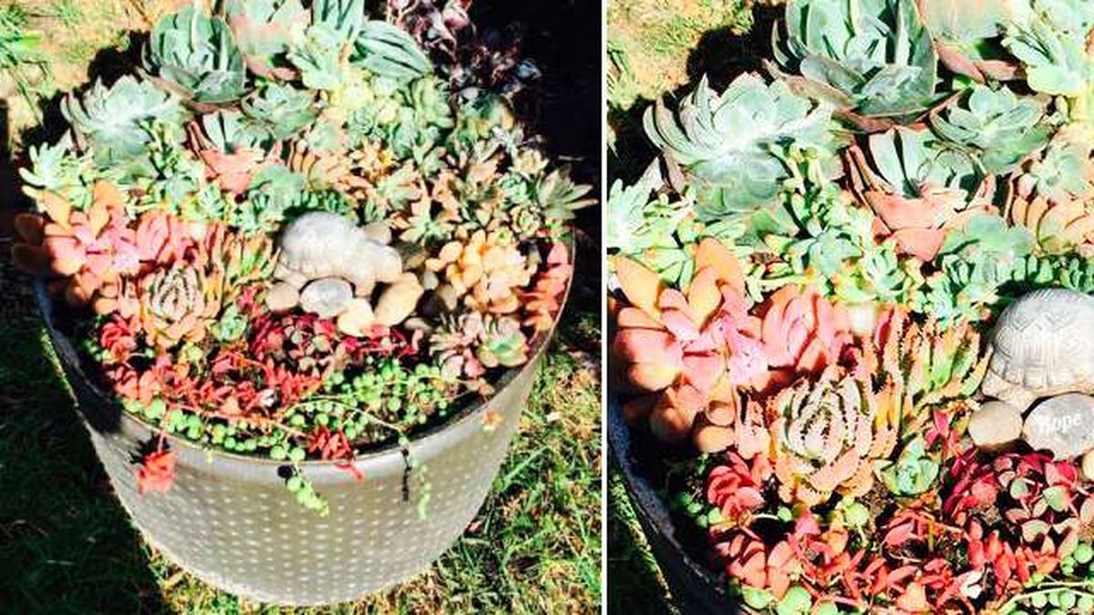 reutilizar tambor lavadora 4