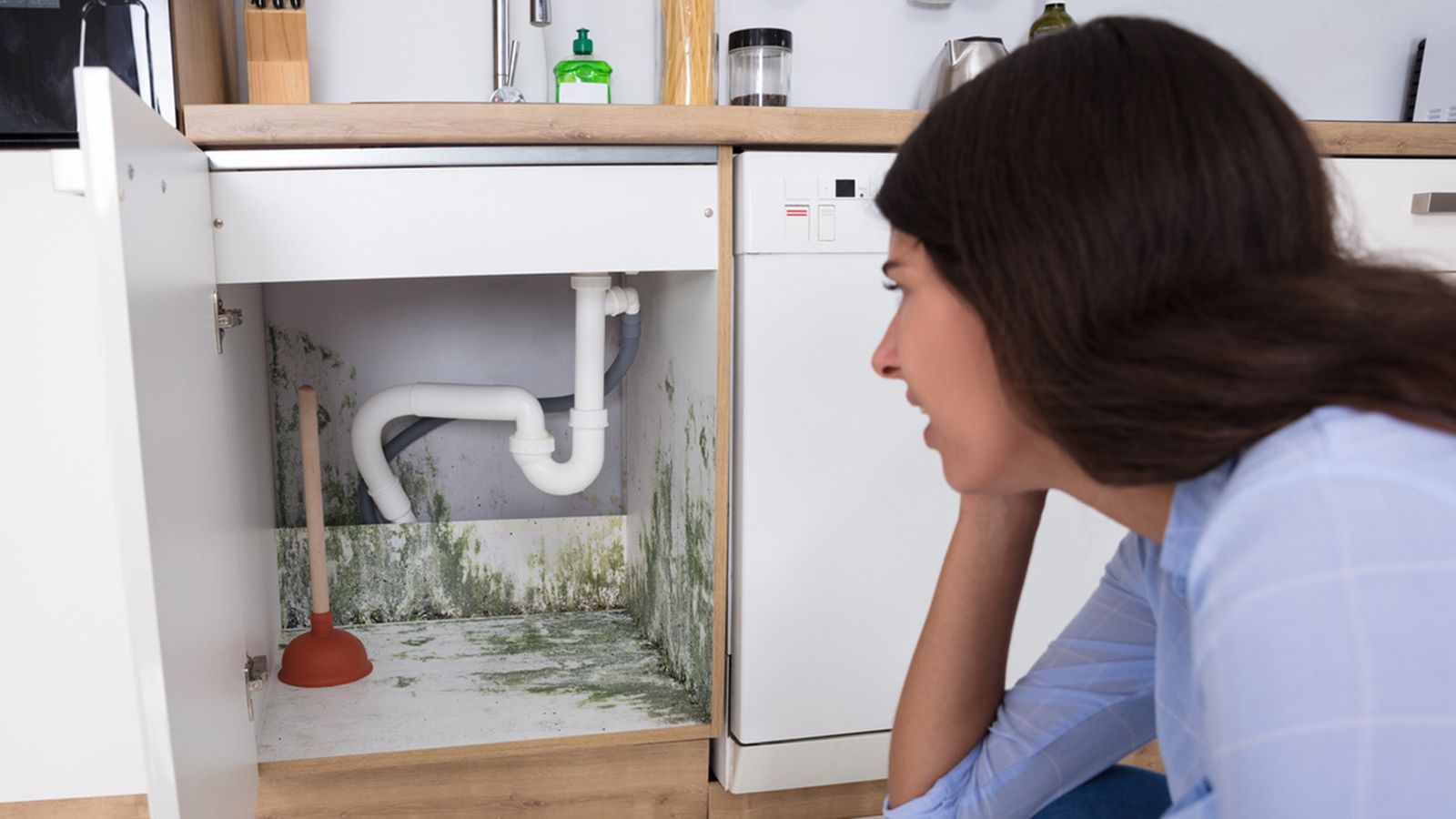 como eliminar la humedad y limpiar el moho de los armarios bajos de la cocina y del bano