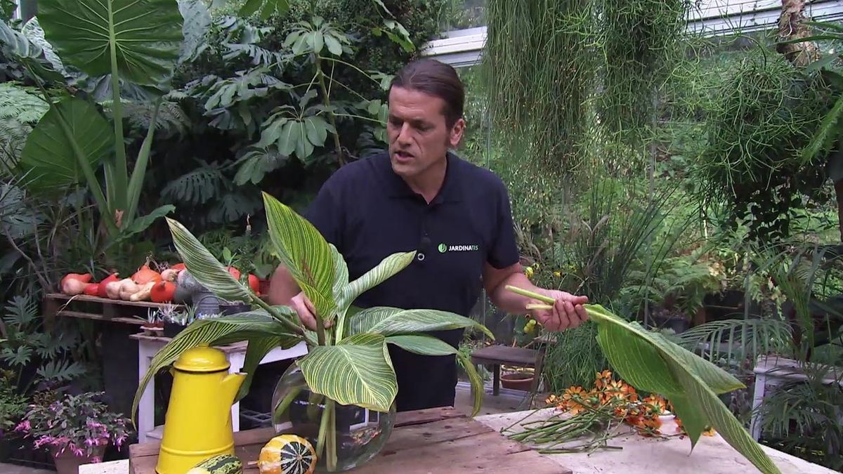 deco 753 jardin girasol mexicano composicio floral cannas