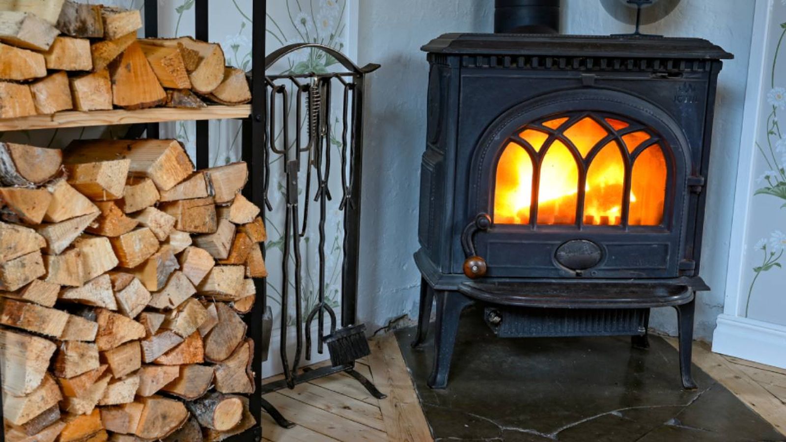 tipos de estufas a  lena xl