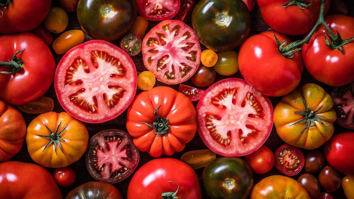 tomates