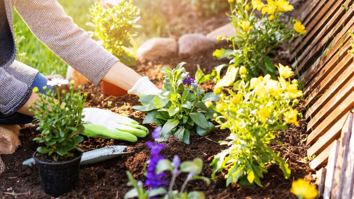 consejos preparar jardin primavera xl