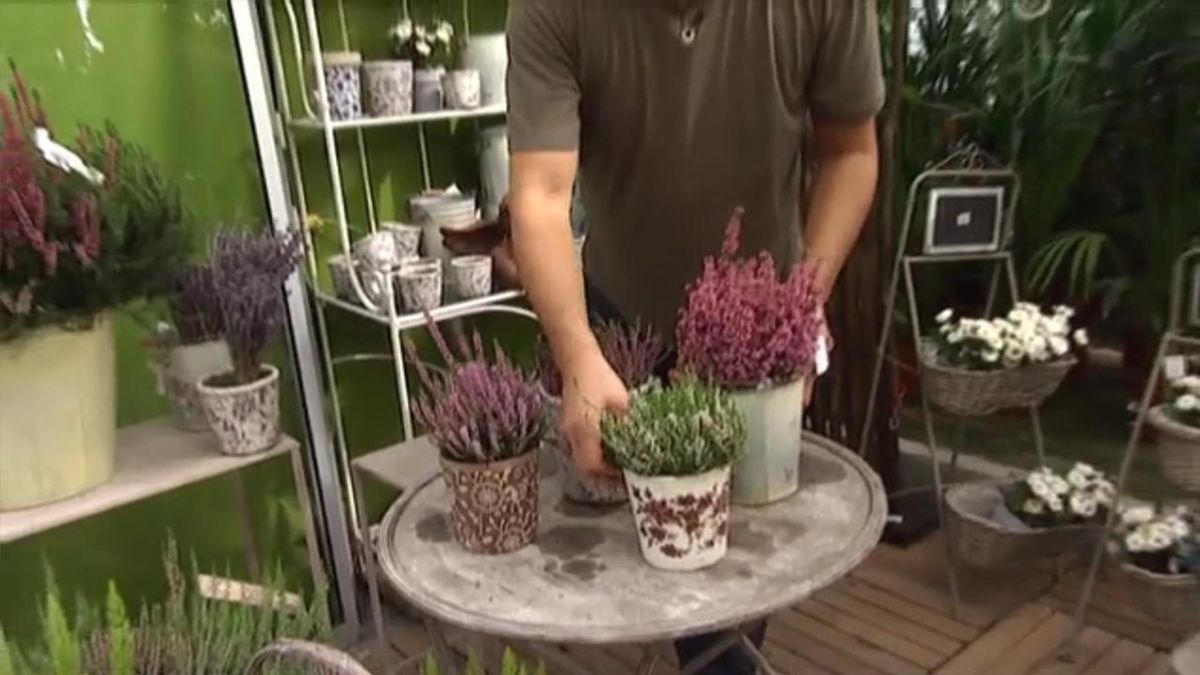 deco 458 brezos en otono contenedores estancos