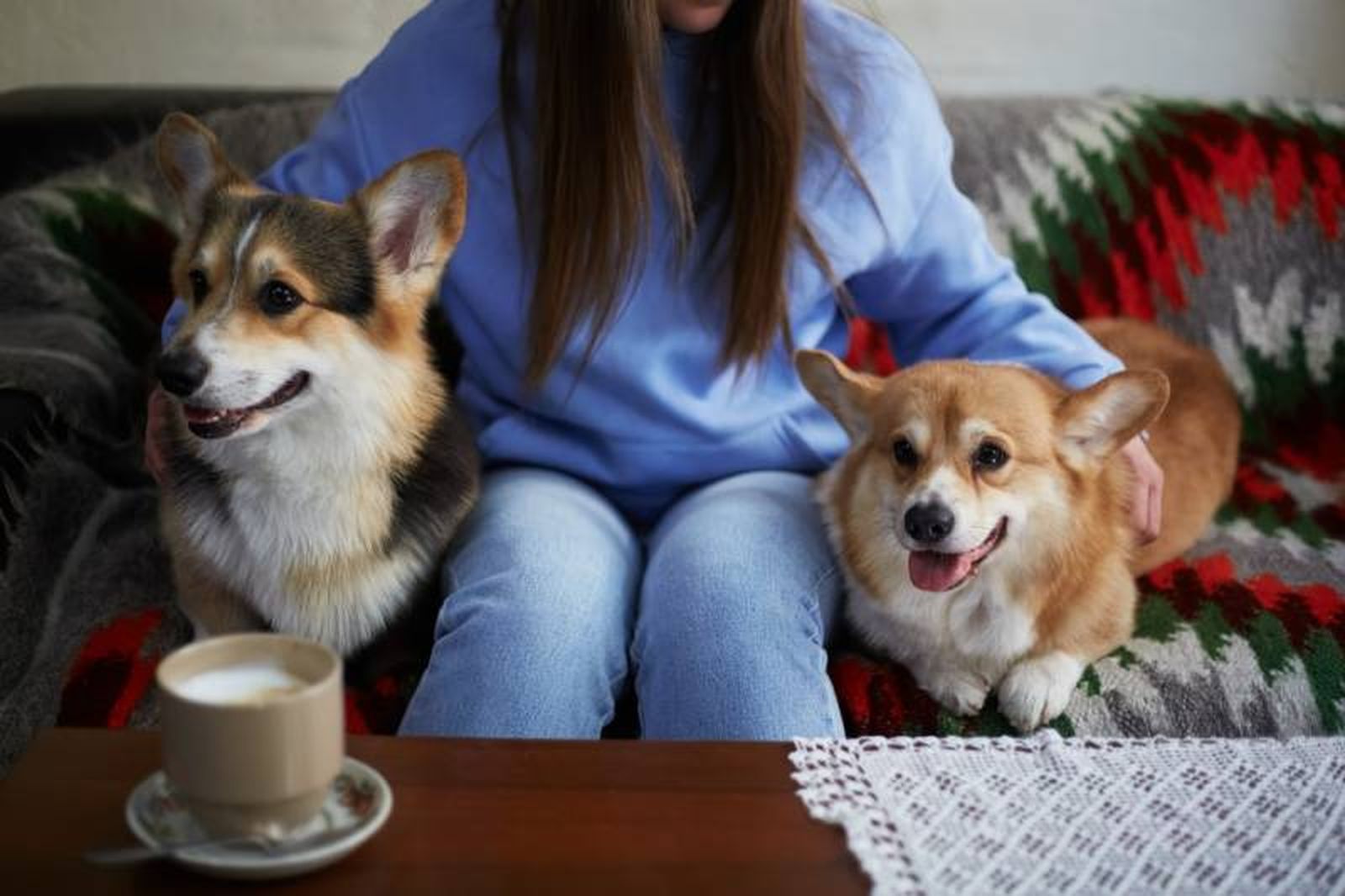 Lo primero que debes tener en cuenta es que no todos los perros encajan entre sí.