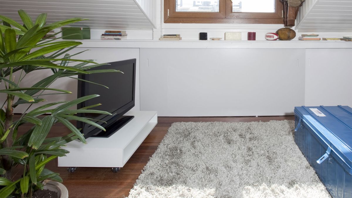 deko 0382 jardin plantacion cuidados raphis excelsa xl