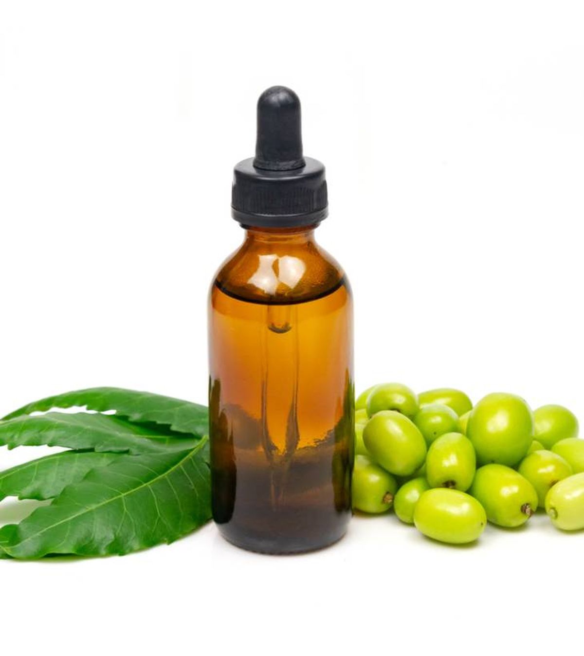 aceite de neem plantas