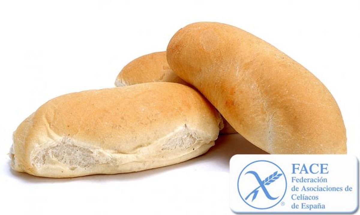 pan celiacos xl 668x400x80xX[1]