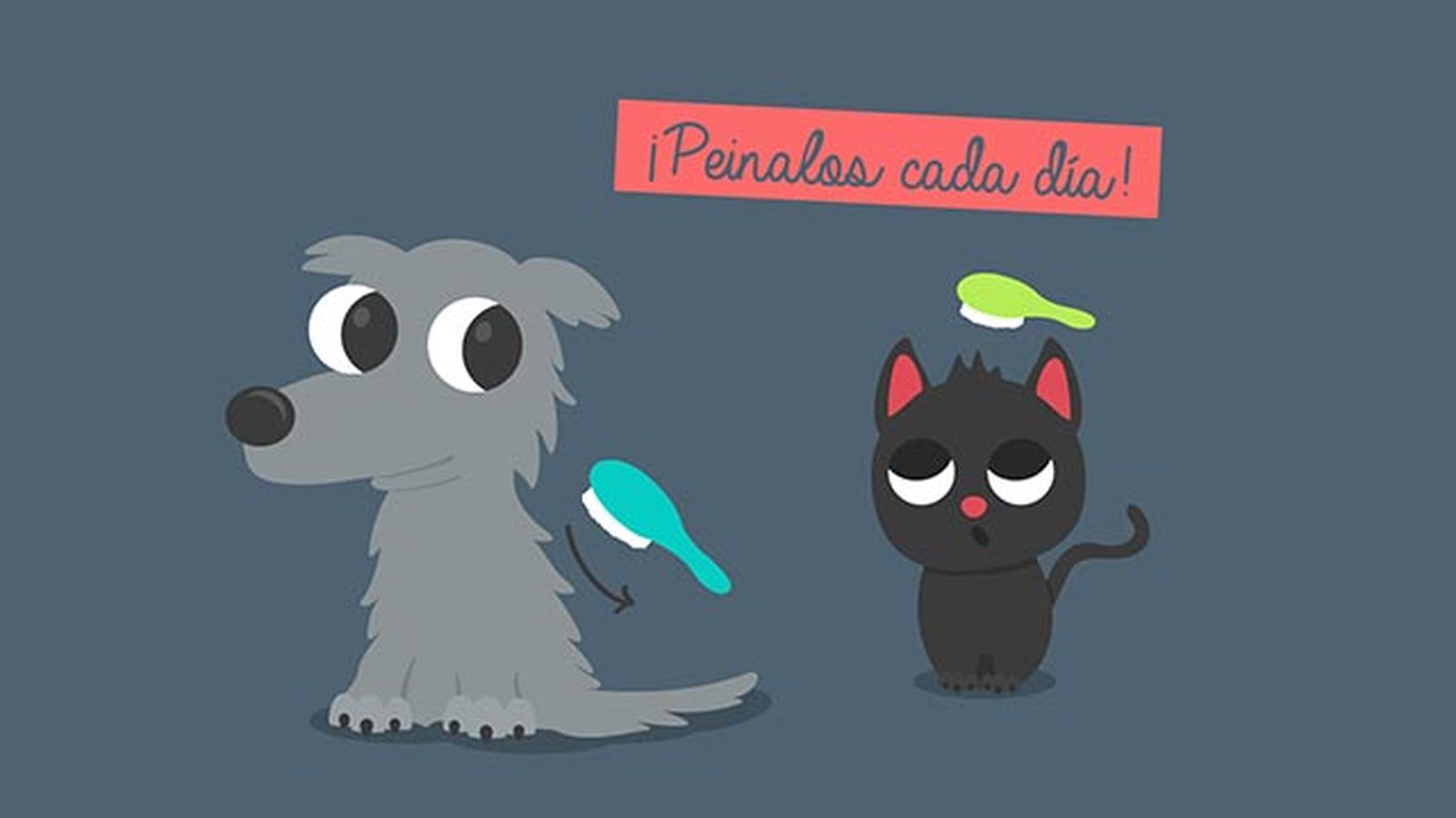 muda pelo mascotas peinado