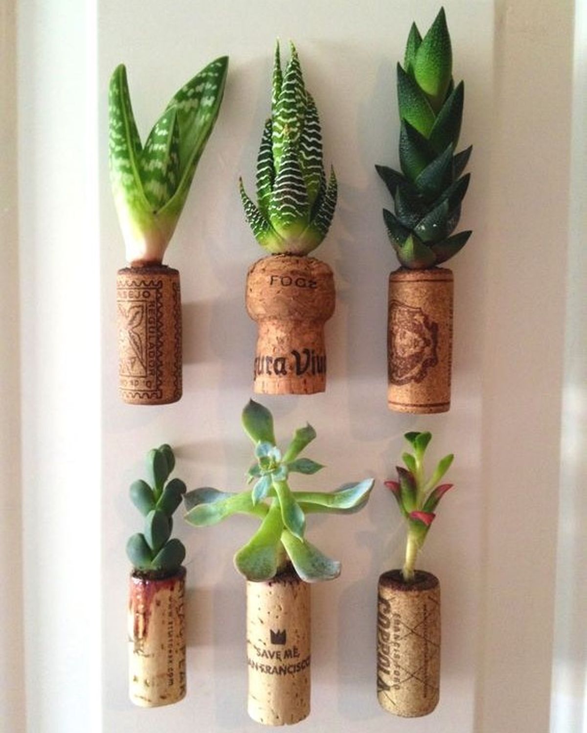 reciclar tapones de corcho 4