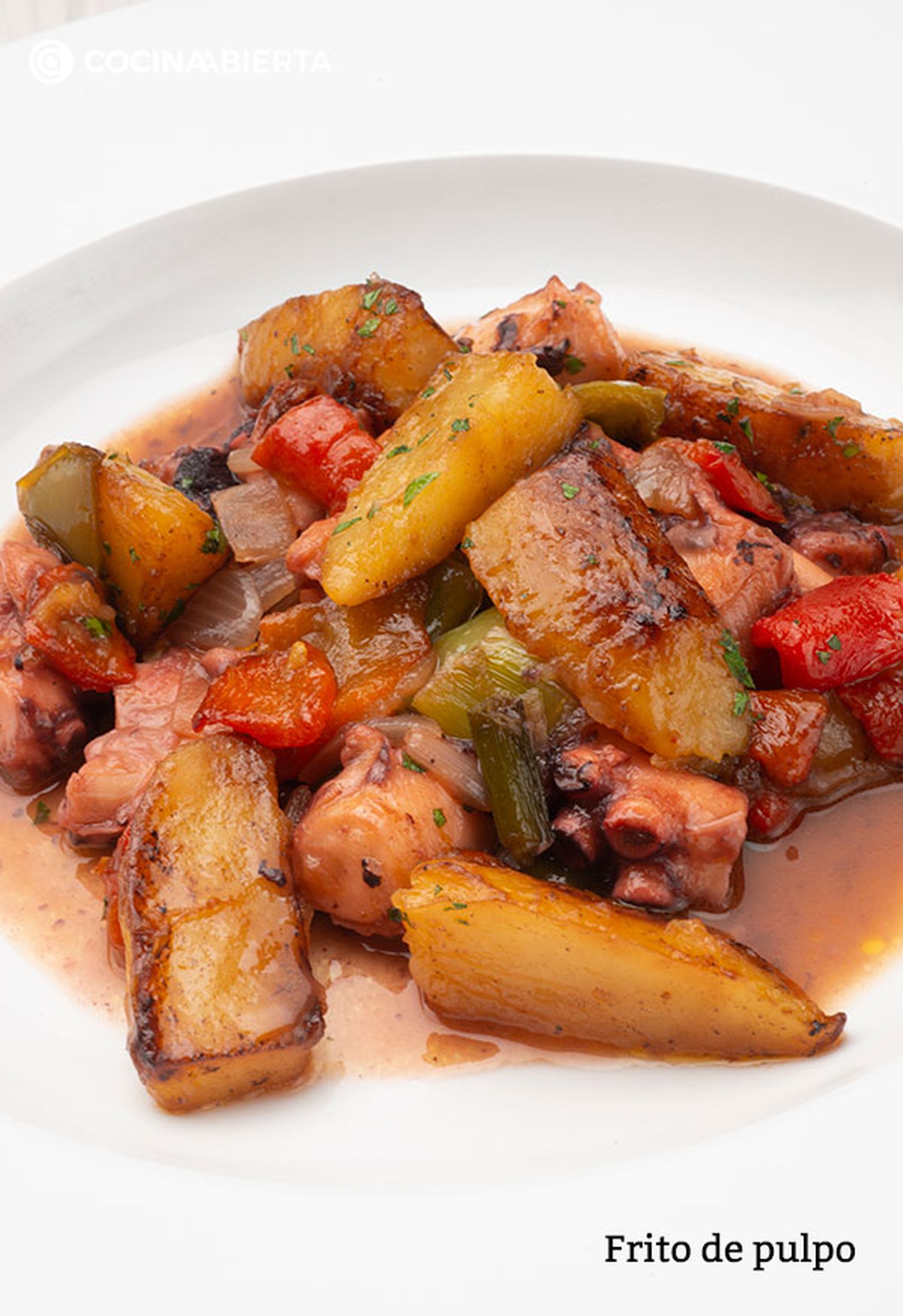 frito de pulpo v