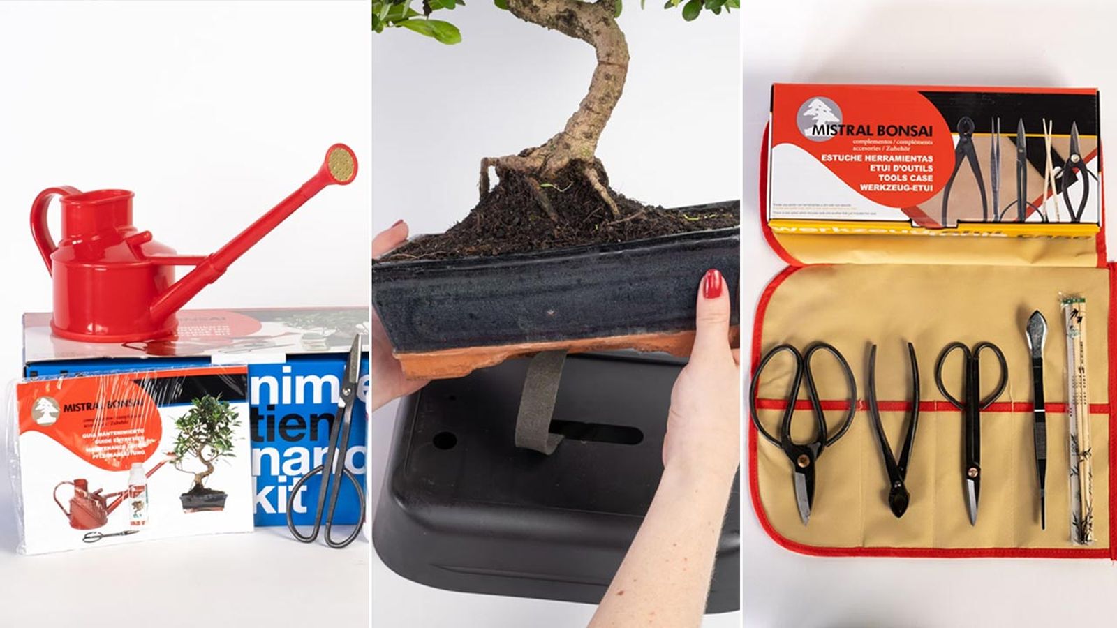 productos de be green para cuidar los bonsais