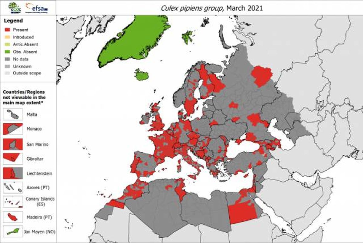 mapa distribucion en europa mosquito comun Culex pipiens