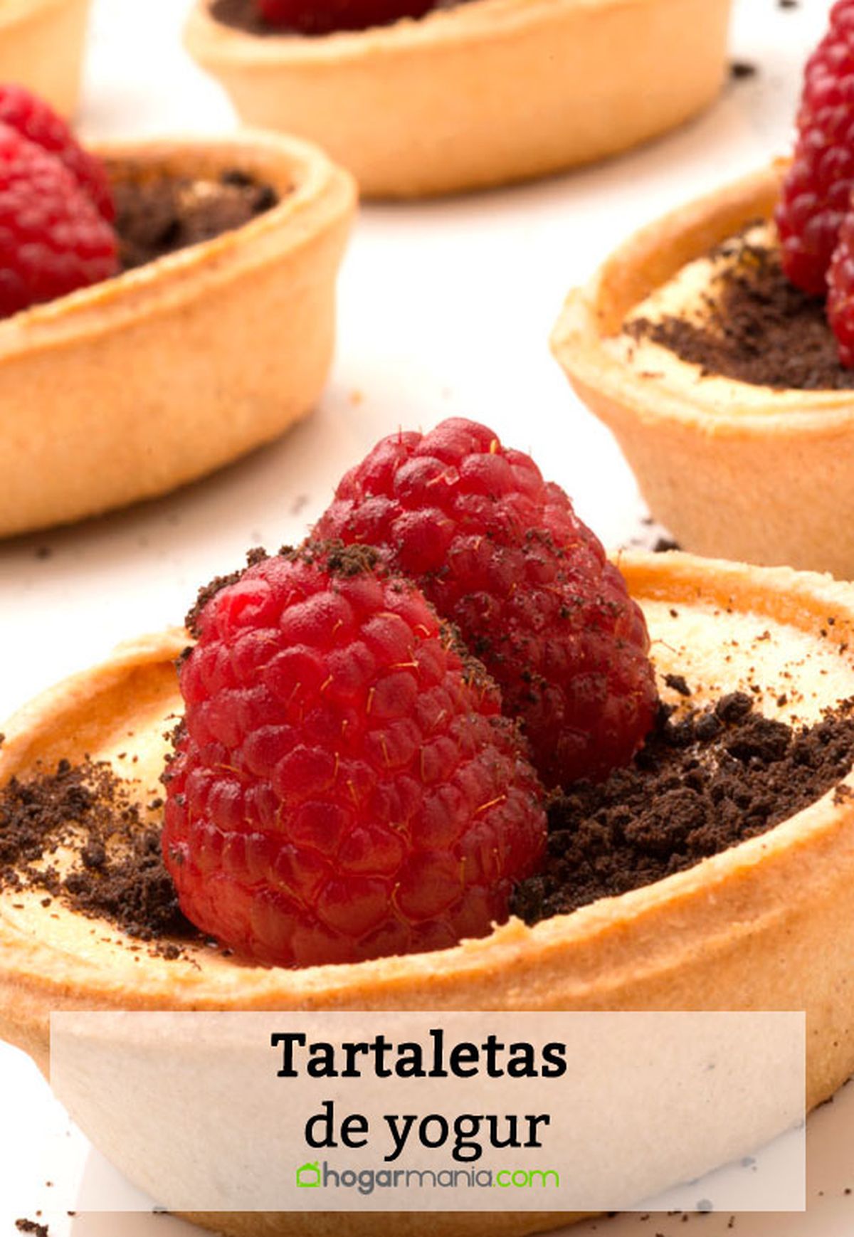 tartaletas de yogur pin