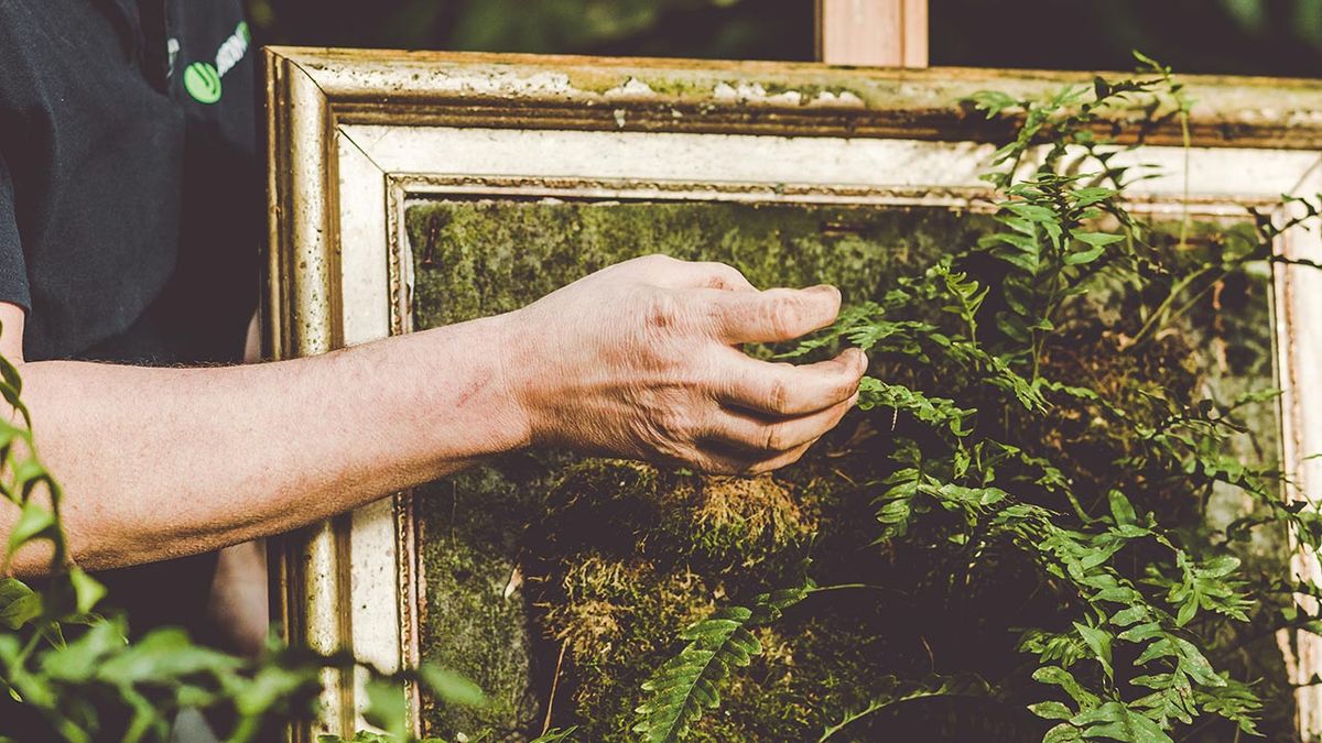 brico 1018 jardin Helecho Microsorum pustulatum cuadro jardin vertical