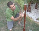 antorcha jardin p09