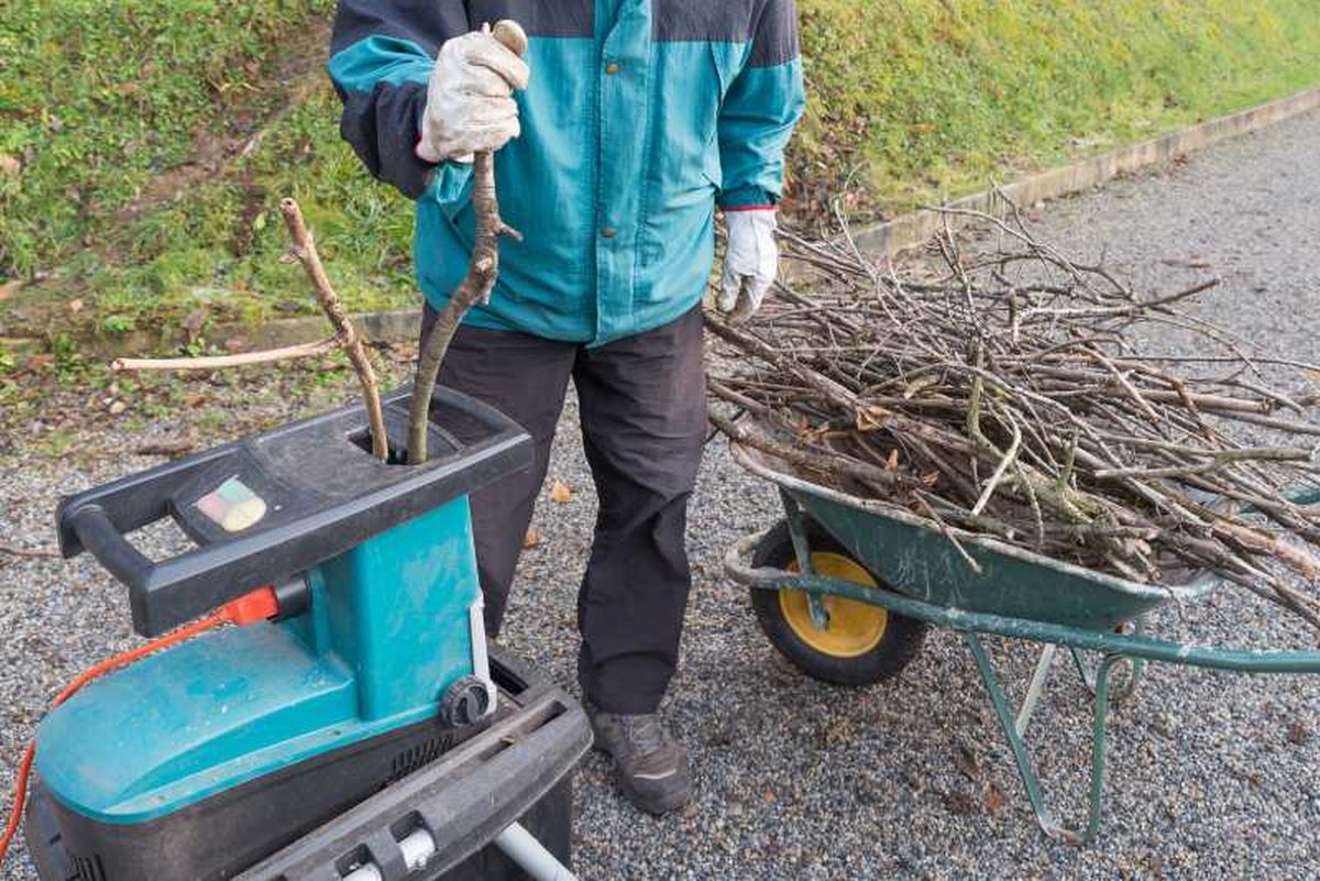 Ramas para hacer compost.