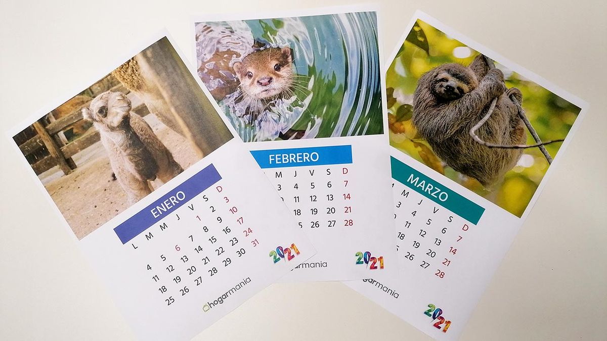 calendario mascotas 2021 hojas