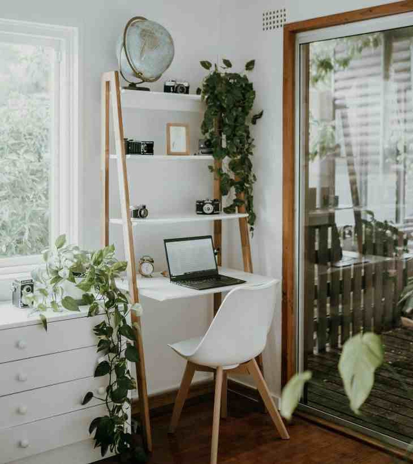 que son plantas aesthetic hogar