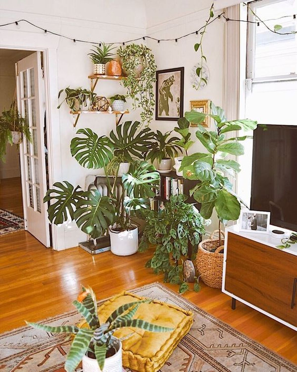 urban jungle salon 2