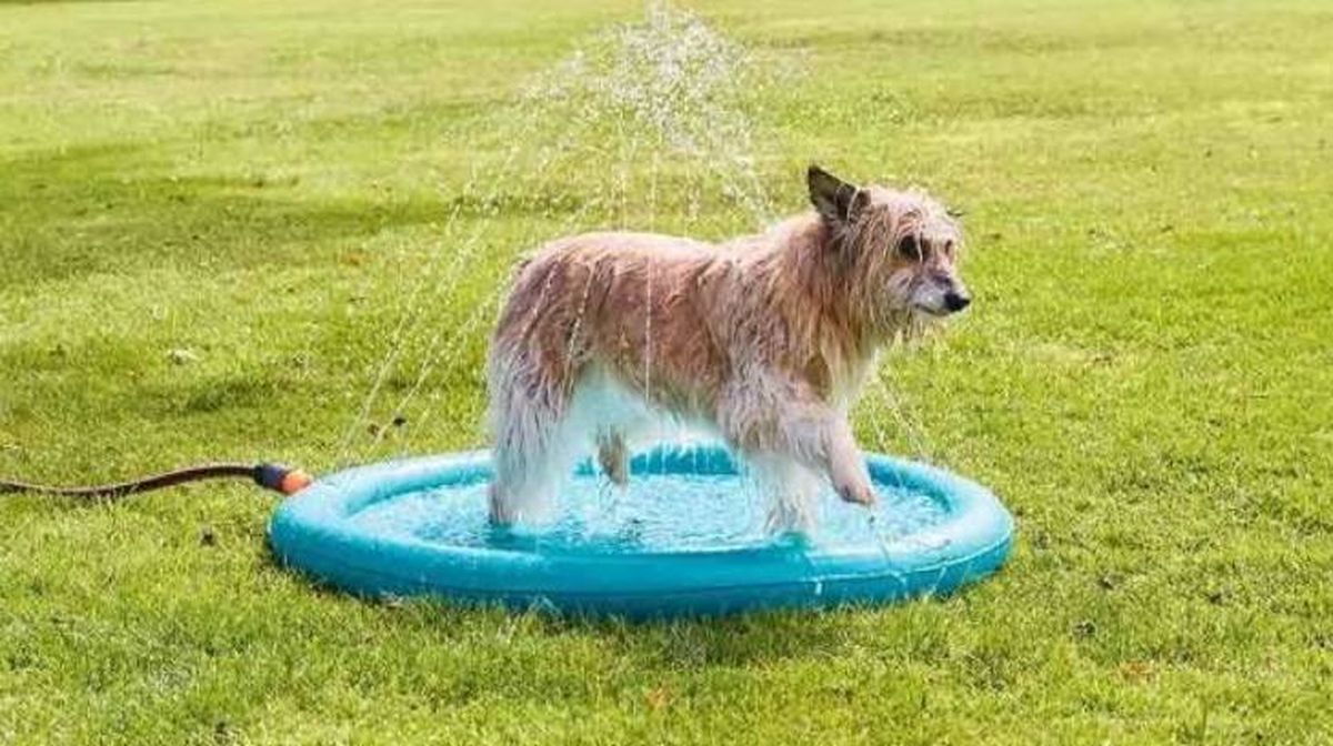 La colchoneta con juego de agua que triunfa en Lidl