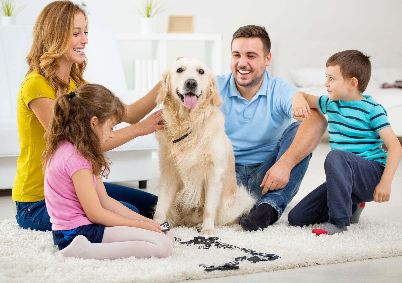 consejos preparar llegada perro acuerdo
