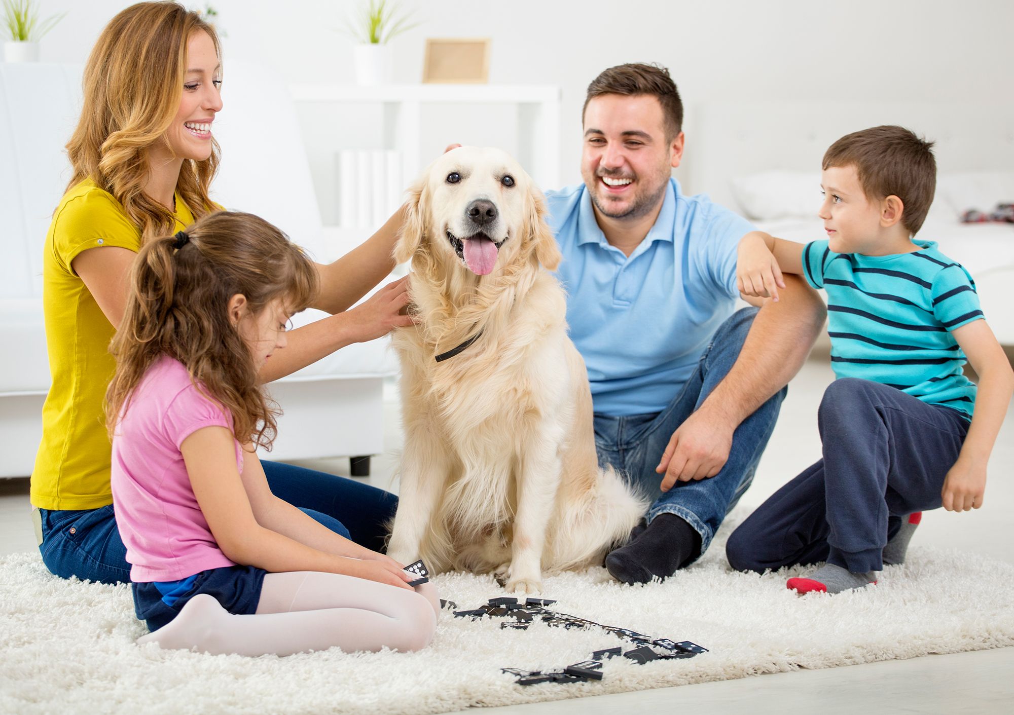 consejos preparar llegada perro acuerdo