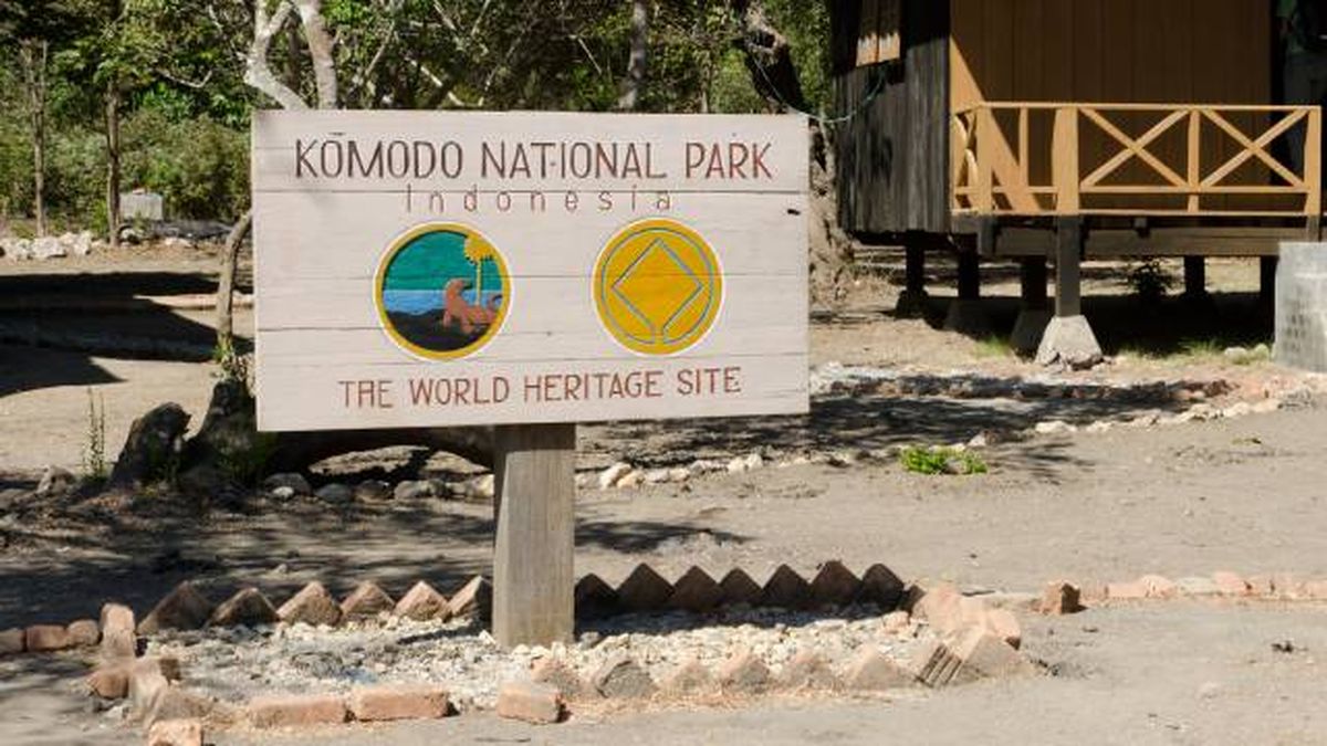 lagarto mas grande del mundo parque nacional de komodo indonesia