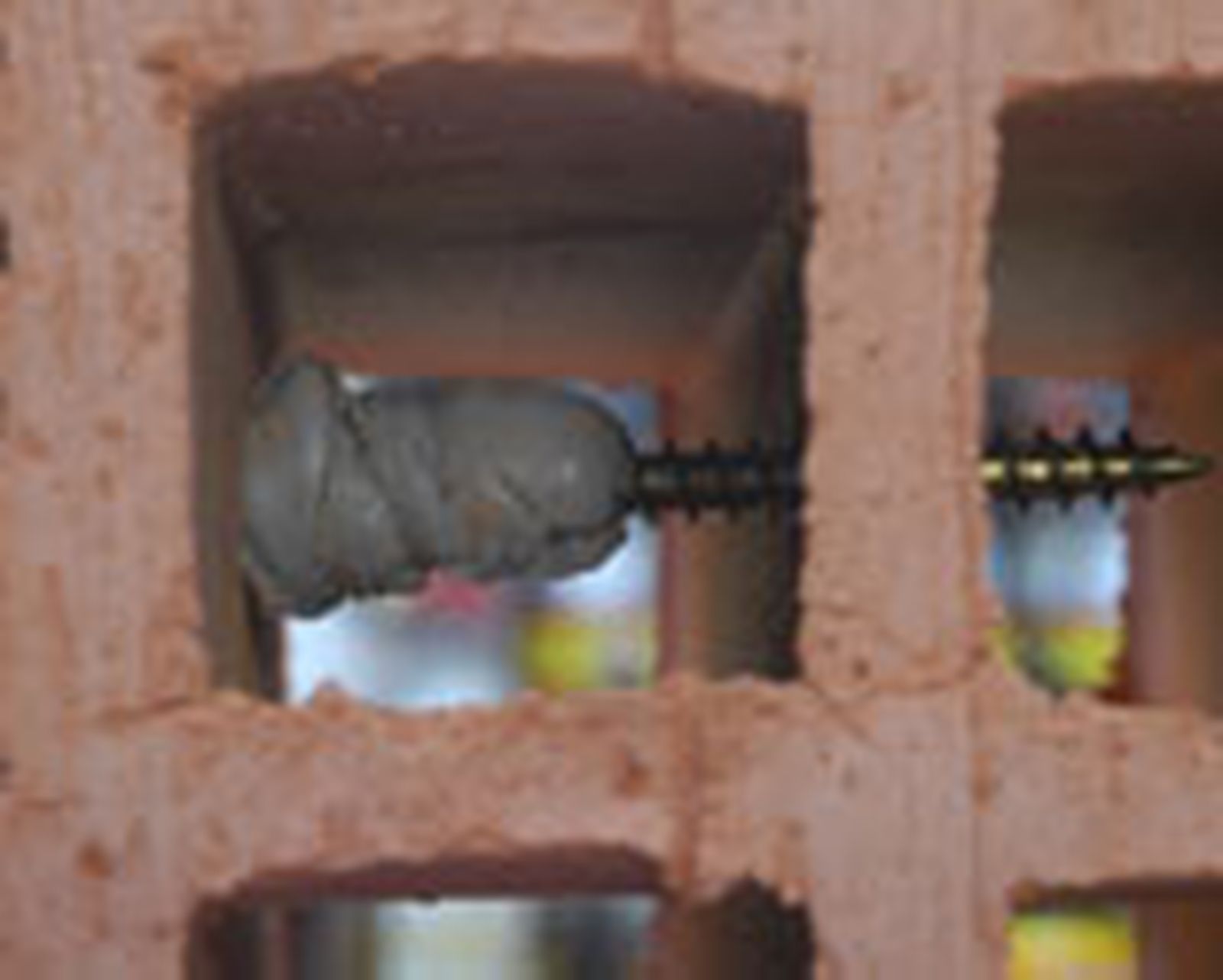 341 coloc tac p6