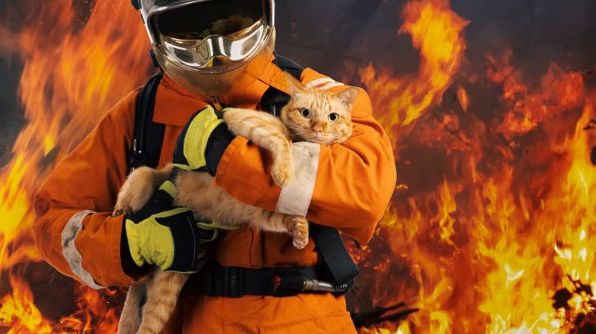 salvar mascota incendio consejos