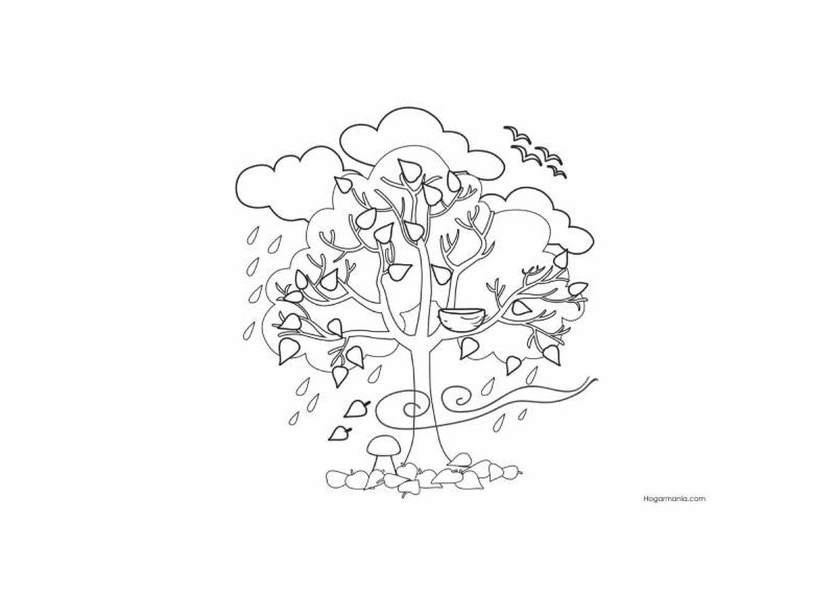 Dibujo para colorear de árbol con lluvia en otoño.