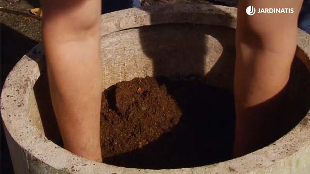 como saber si un sustrato es de buena calidad brico 868 jardinatis