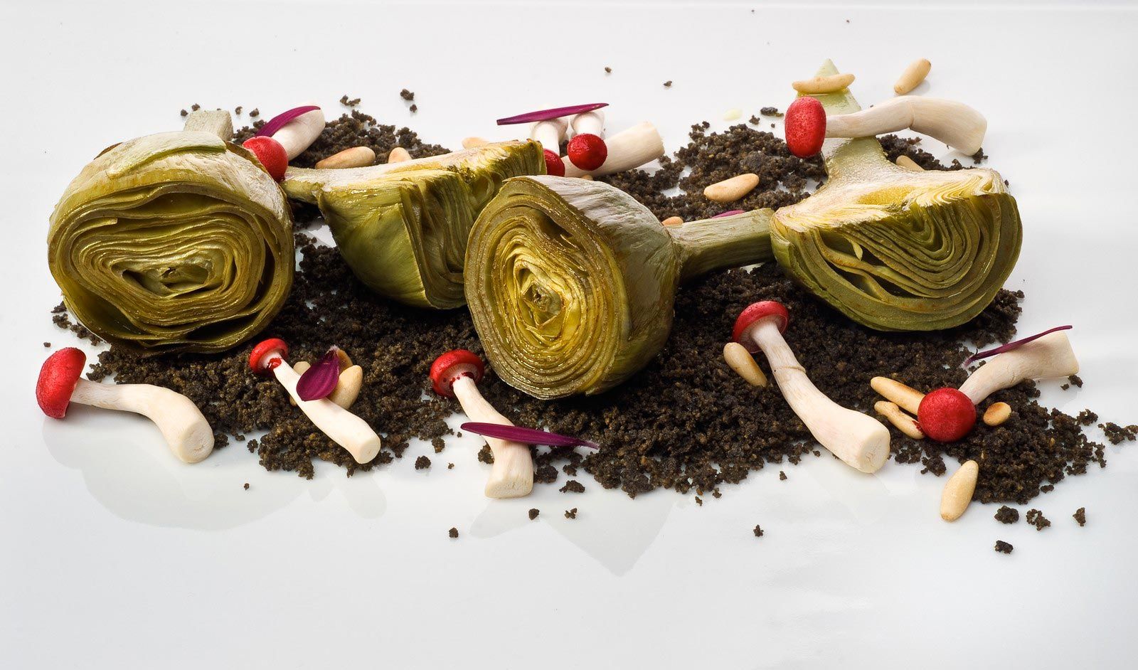 alcachofas tierra xl