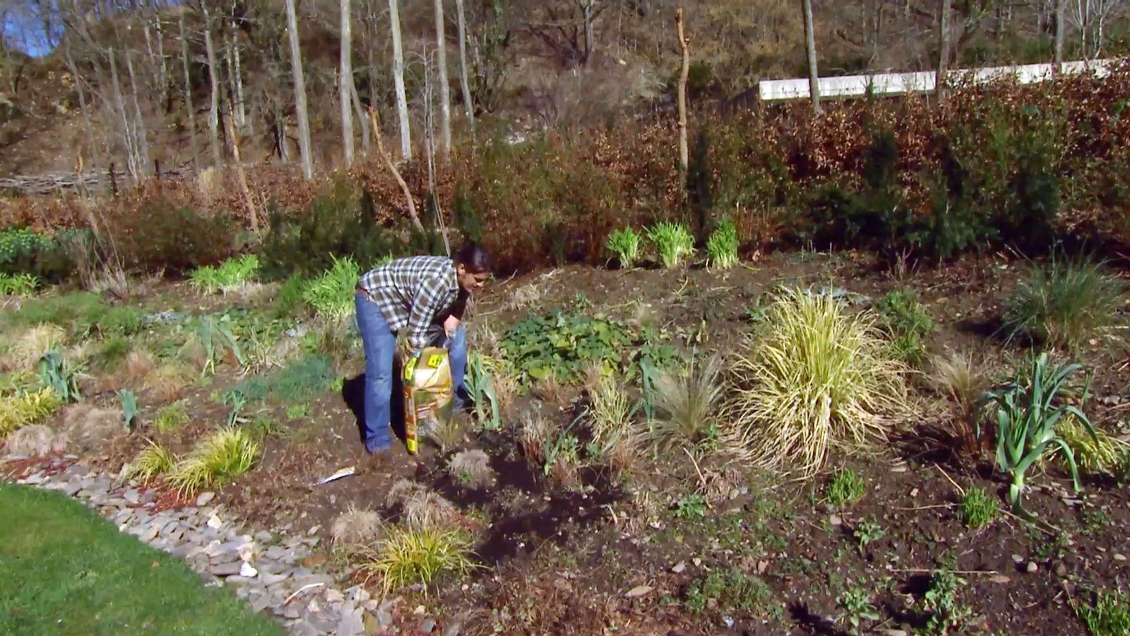 deco646 poda parterre vivaces mantillo xl