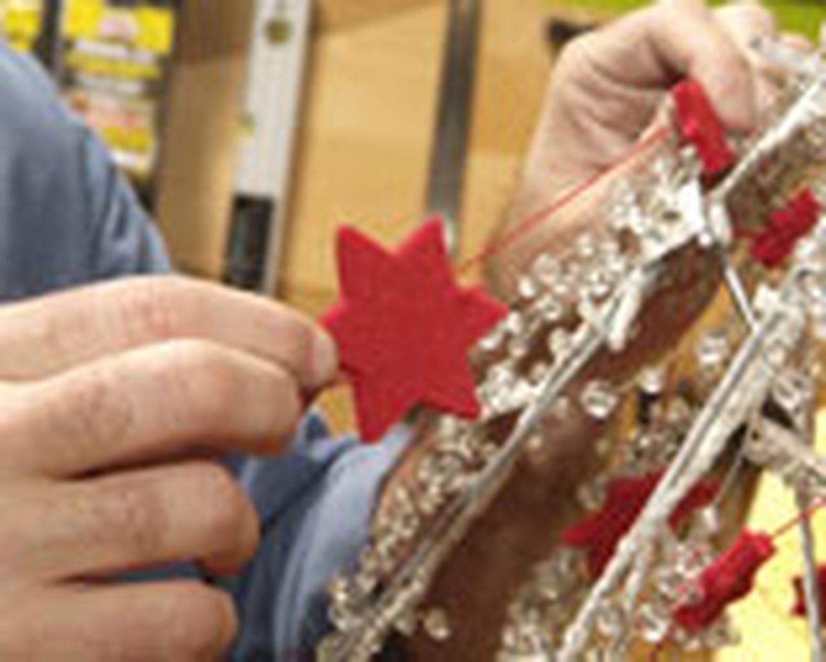 436(85) Abeto paraguas paso20