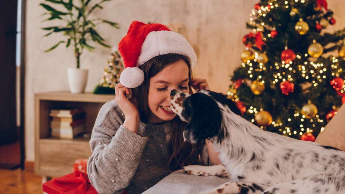 Una mujer y un perrito en un salón con decoración navideña tradicional.