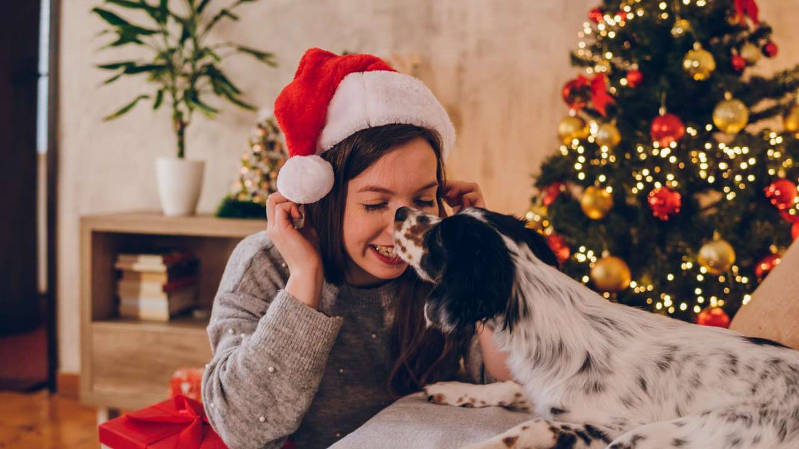 Una mujer y un perrito en un salón con decoración navideña tradicional.