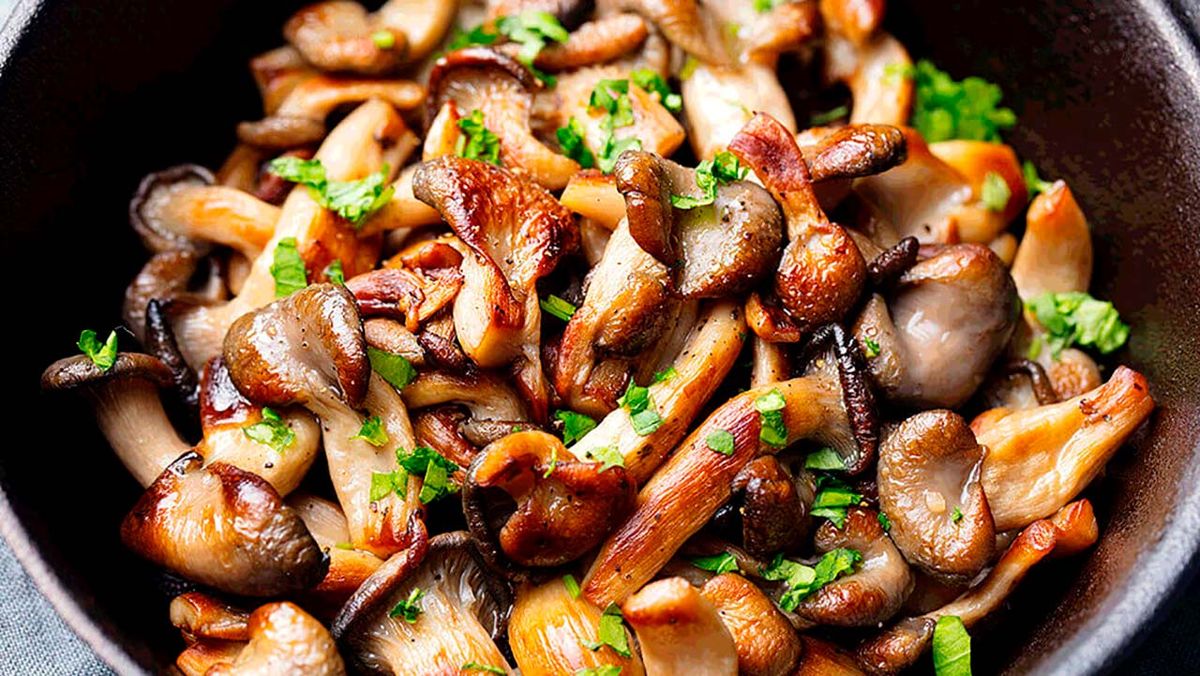 setas comestibles portada