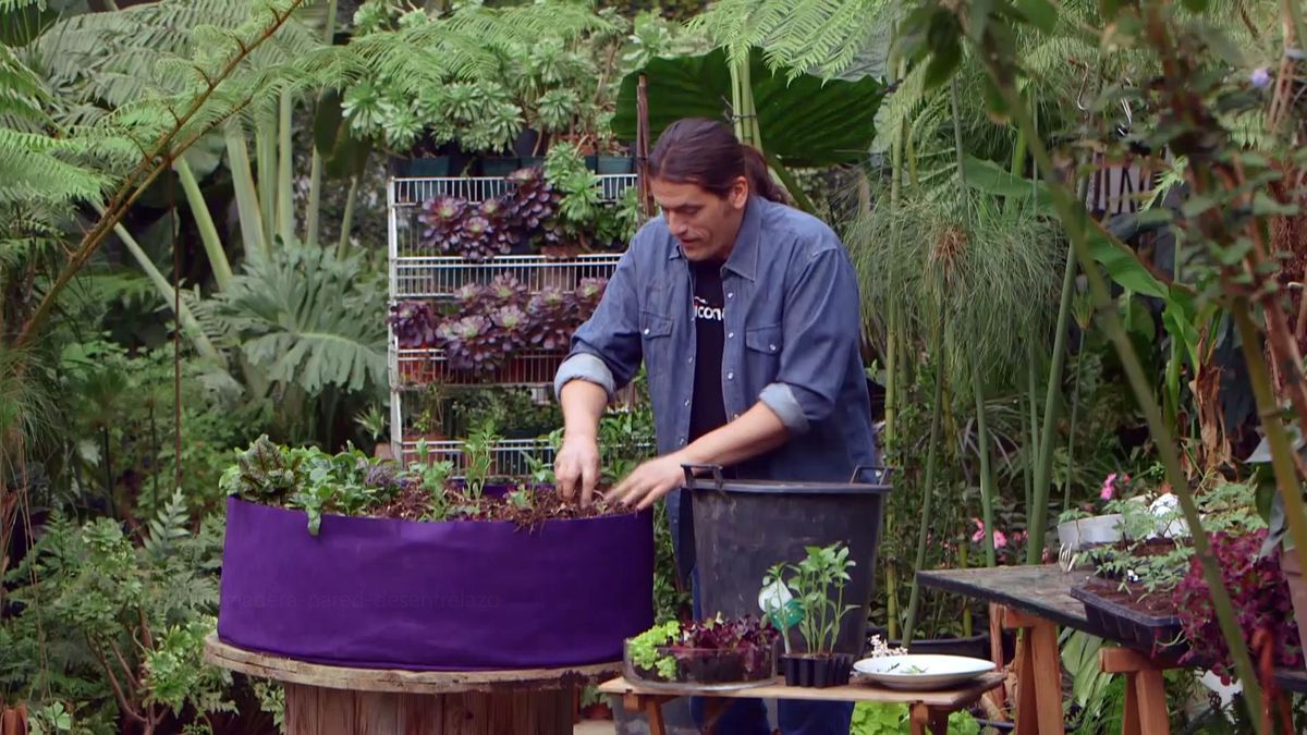 brico 950 3 huerto urbano contenedor geotextil compost