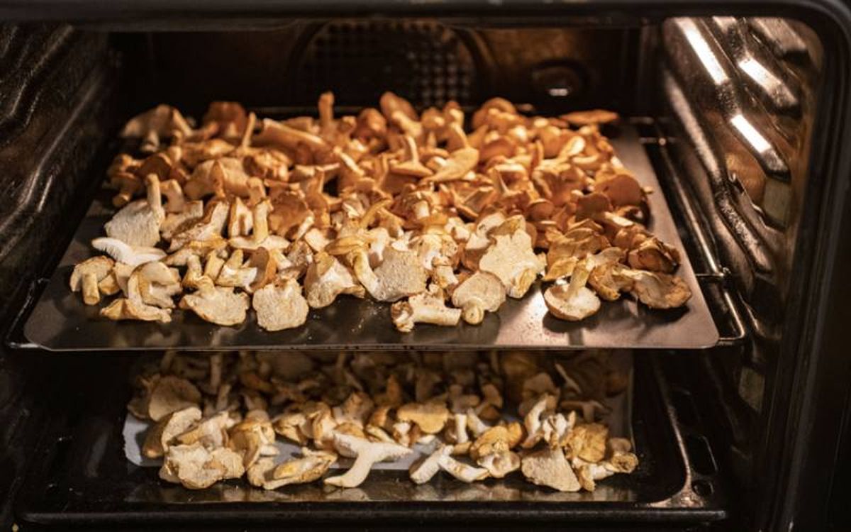 Puedes deshidratar las setas en el horno si quieres acelerar el proceso