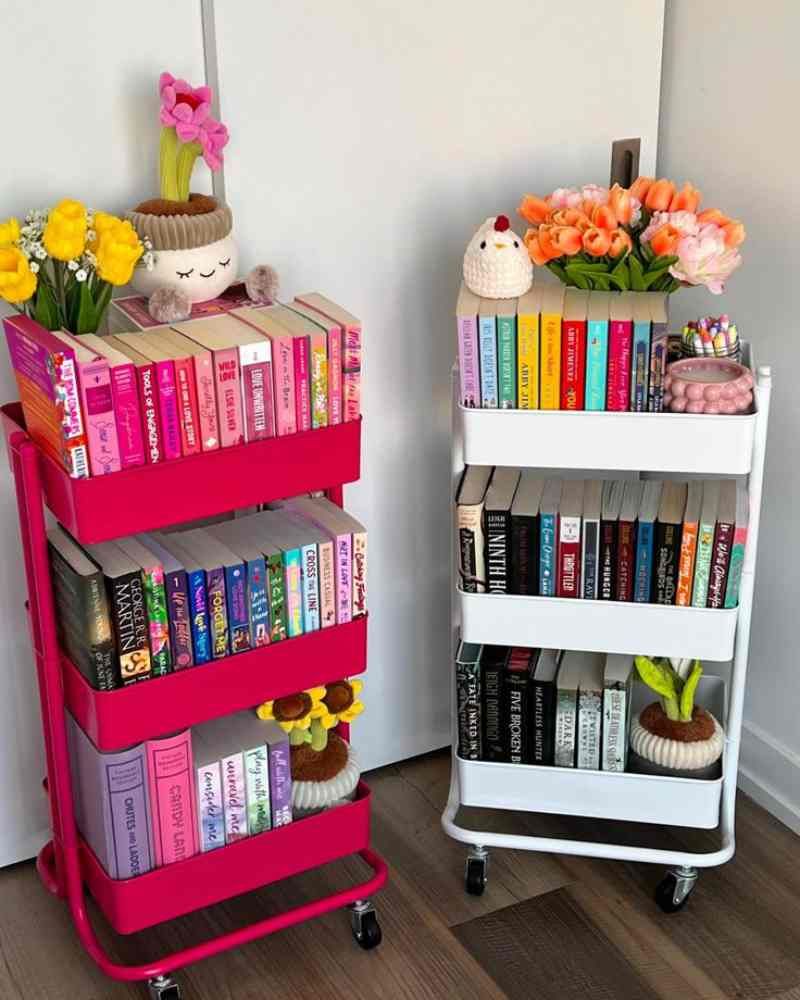 Libros organizados en estanterías con ruedas