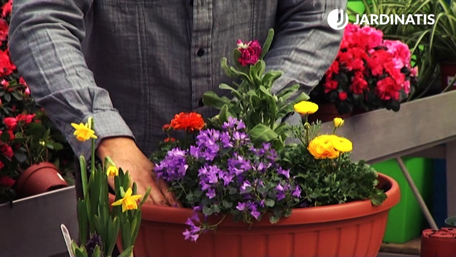 composicion floral para inicios primavera xl deco 425 jardin